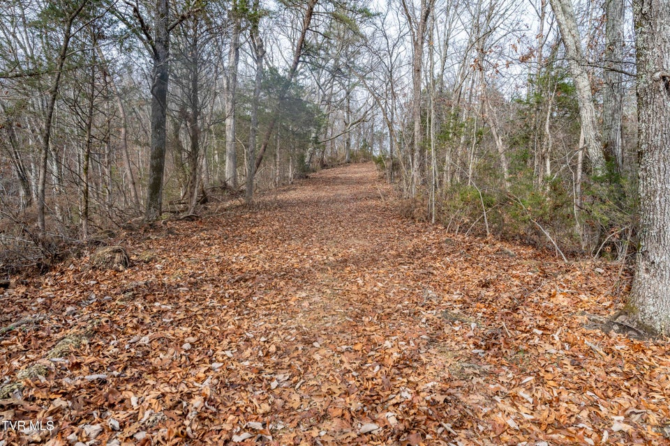 Photo #19: 355 Austin Springs Road