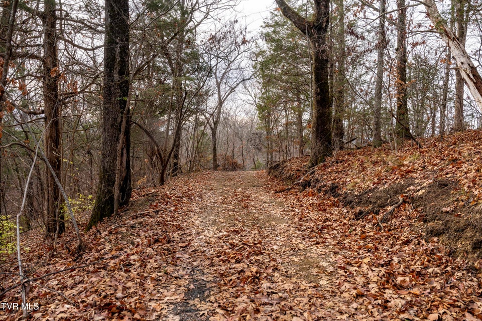 Photo #20: 355 Austin Springs Road