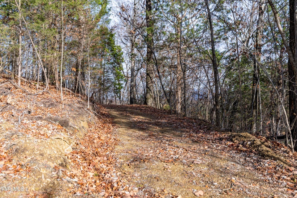 Photo #21: 355 Austin Springs Road