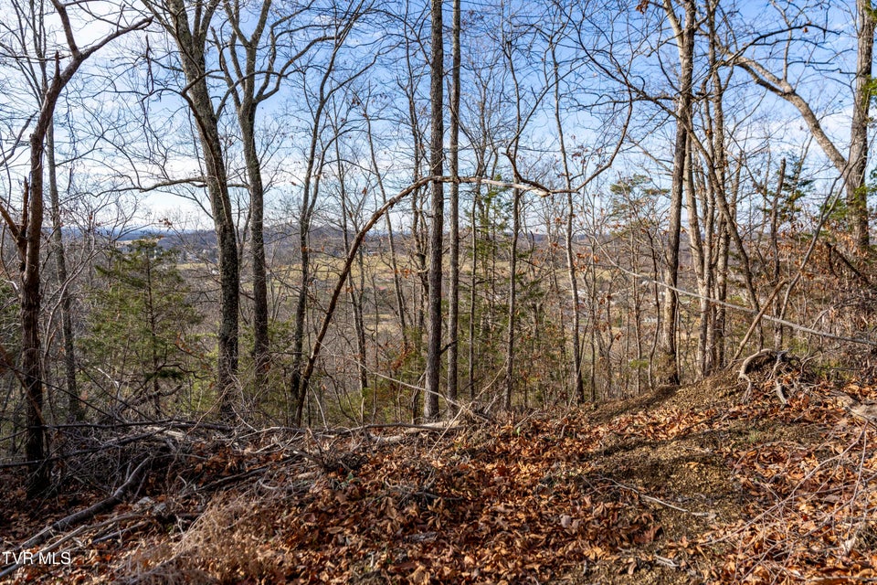 Photo #22: 355 Austin Springs Road