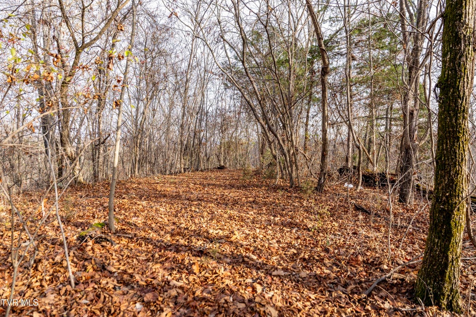 Photo #23: 355 Austin Springs Road