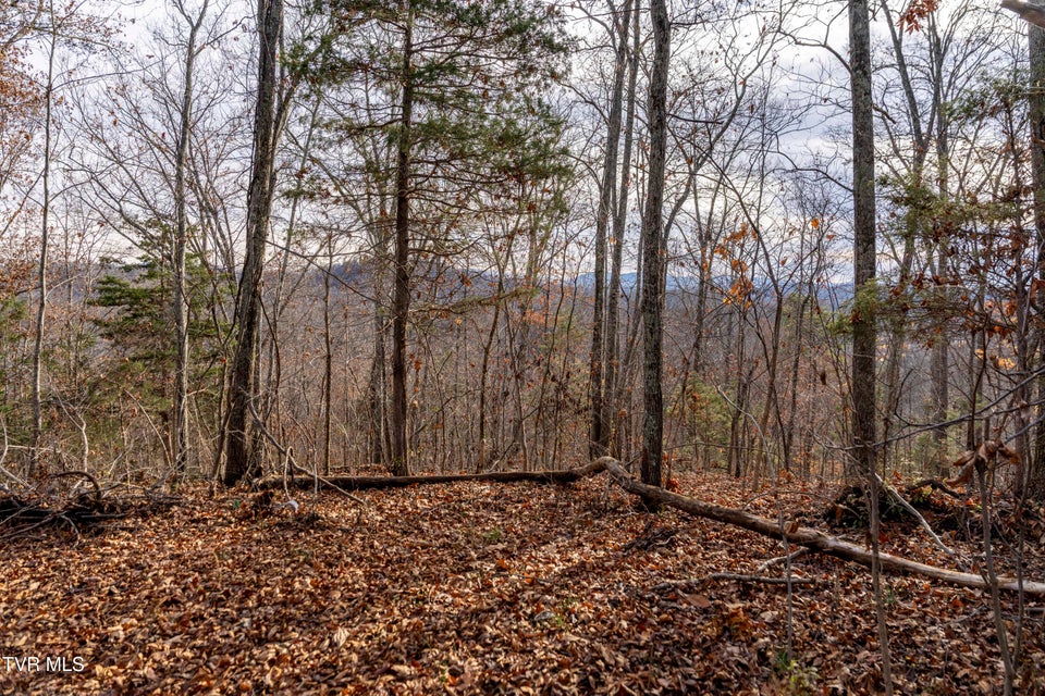 Photo #25: 355 Austin Springs Road