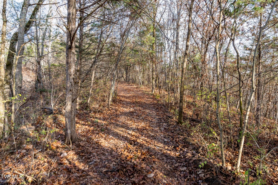 Photo #26: 355 Austin Springs Road