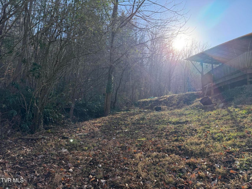 Photo #12: 208 Sycamore Street