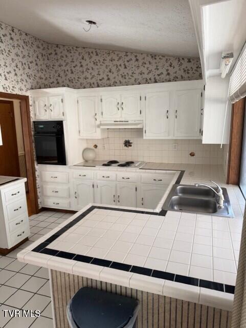 Photo #5: 226 Shadow Hill Lane