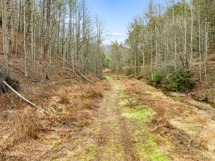 Photo #7: Tbd Stage Road