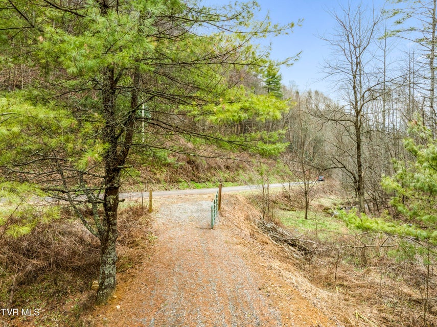 Photo #8: Tbd Stage Road