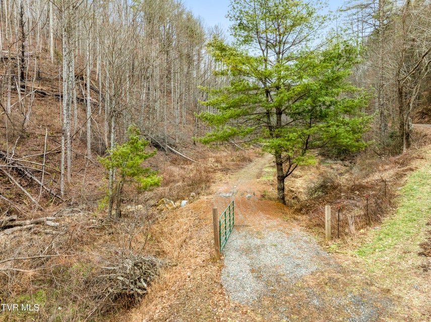 Photo #10: Tbd Stage Road