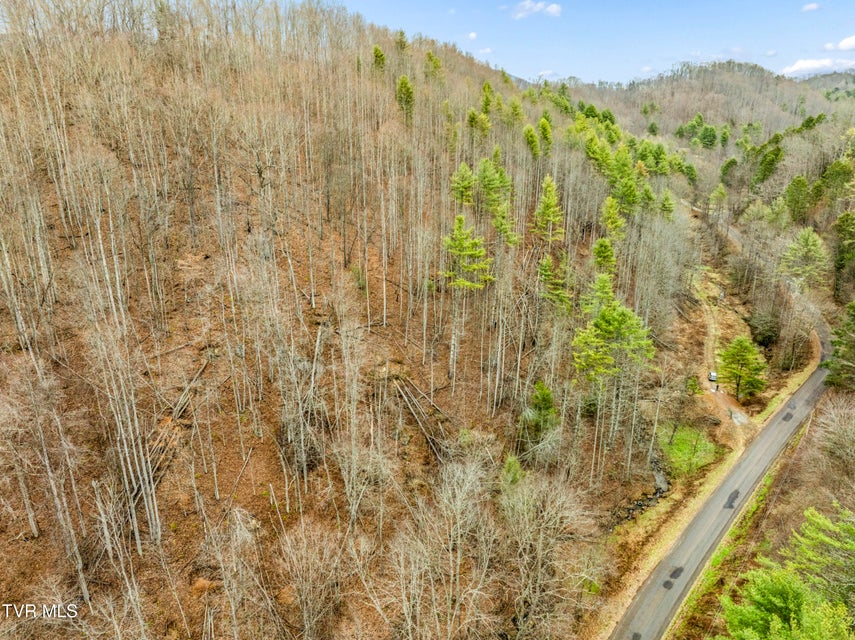 Photo #11: Tbd Stage Road