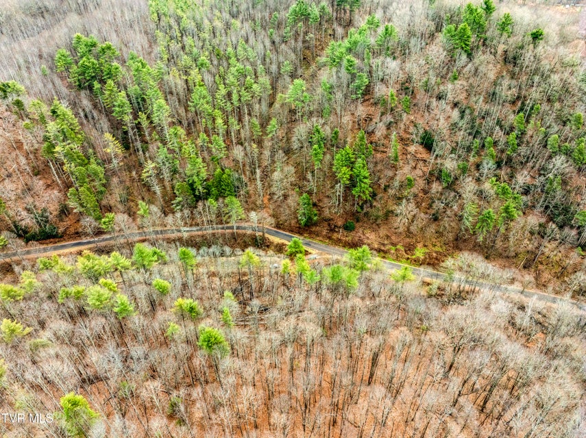 Photo #16: Tbd Stage Road