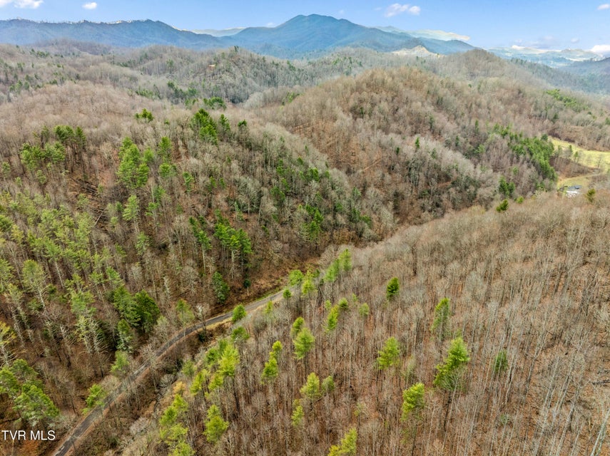 Photo #18: Tbd Stage Road