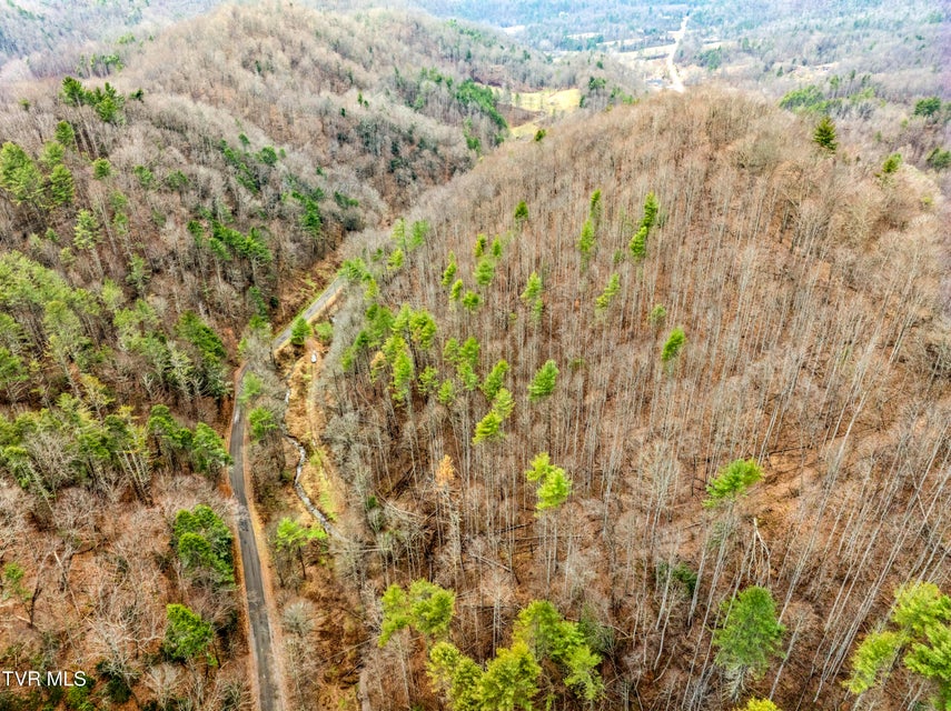 Photo #19: Tbd Stage Road