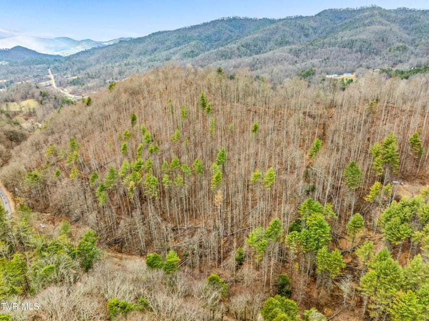 Photo #20: Tbd Stage Road