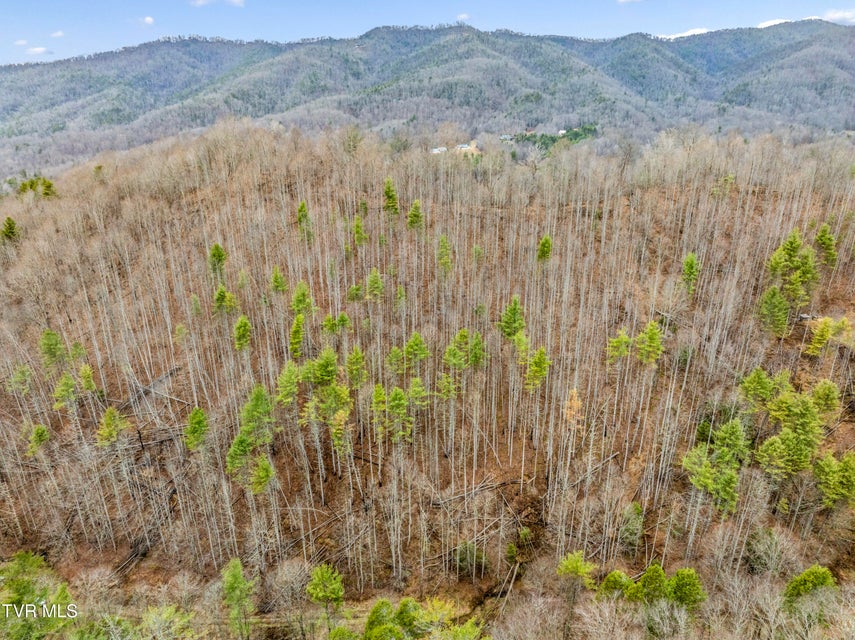 Photo #21: Tbd Stage Road