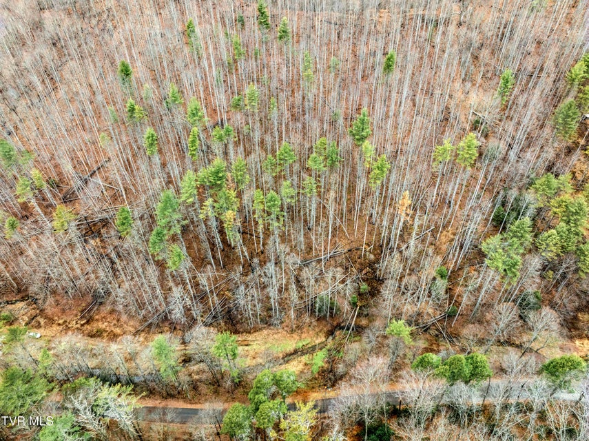 Photo #22: Tbd Stage Road