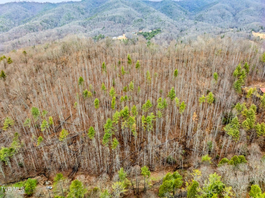 Photo #23: Tbd Stage Road