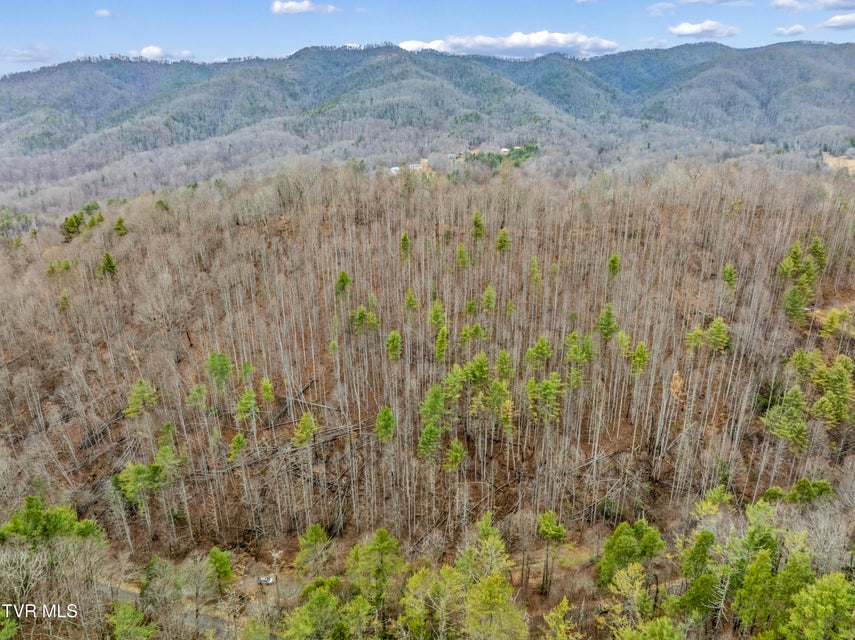 Photo #24: Tbd Stage Road