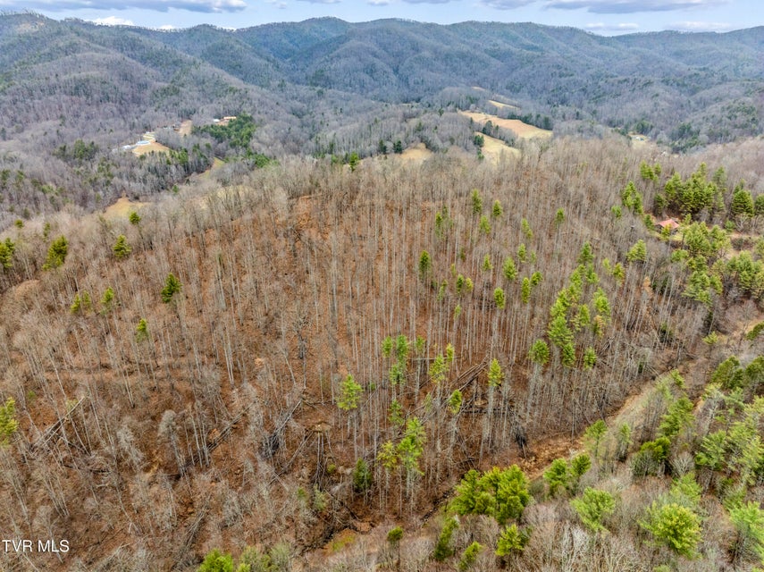 Photo #27: Tbd Stage Road