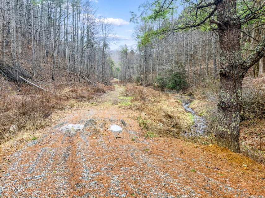 Photo #4: Tbd Stage Road