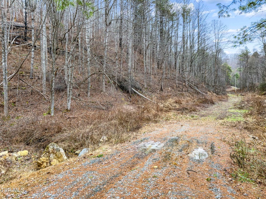 Photo #6: Tbd Stage Road