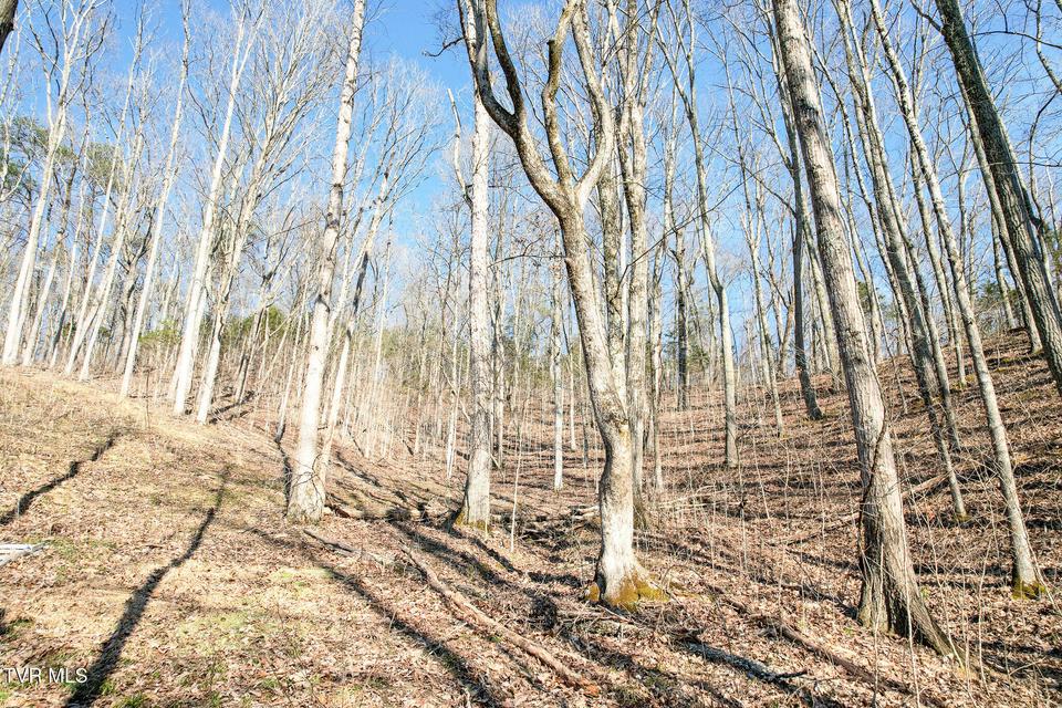 Photo #61: 2087 Fodderstack Mountain Loop