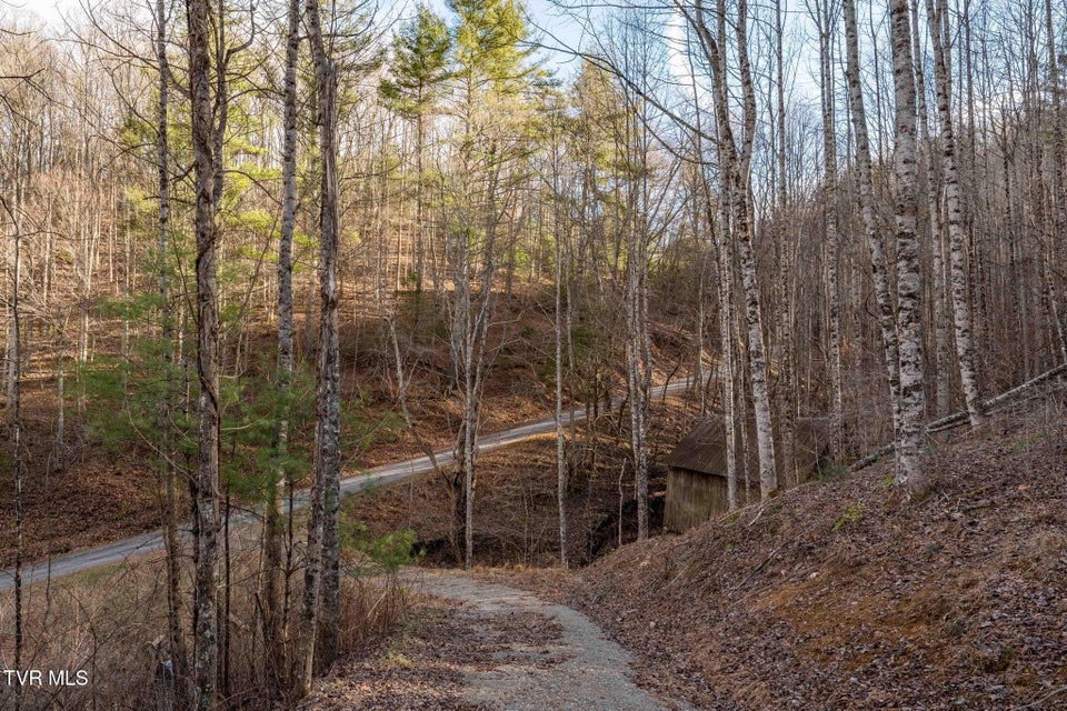 Photo #37: 324 Allen Snyder Road