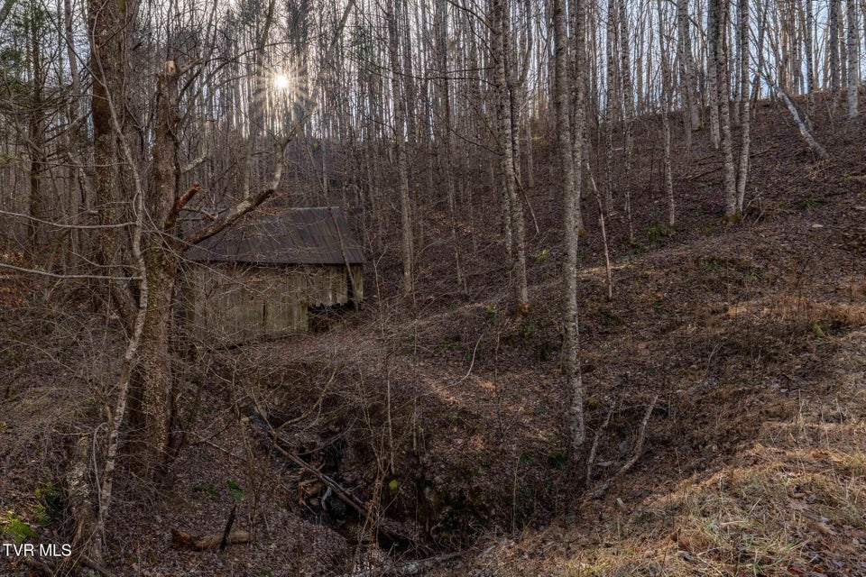 Photo #39: 324 Allen Snyder Road