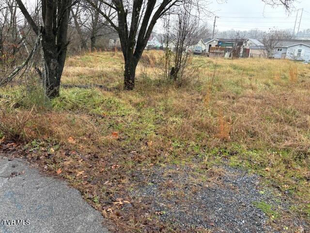 Photo #3: 221 Cedar Street