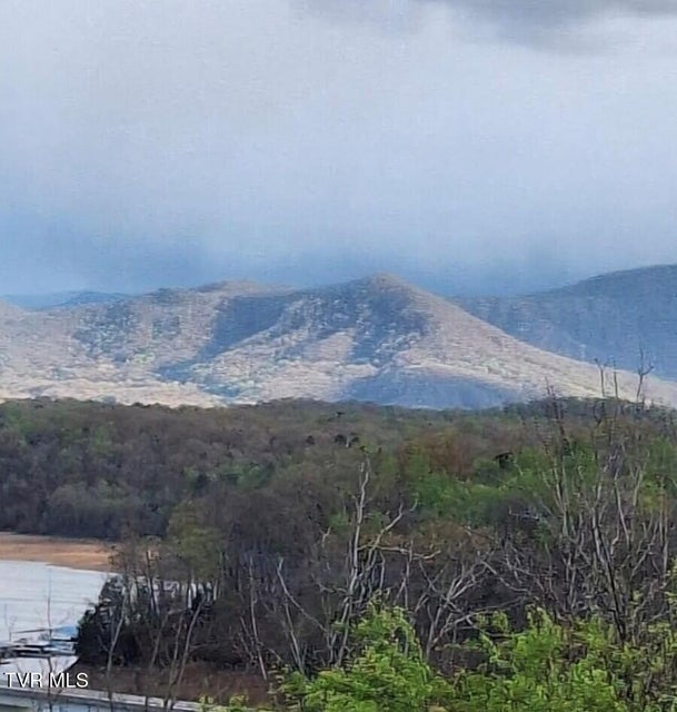 Photo #70: 260 Highway 113 