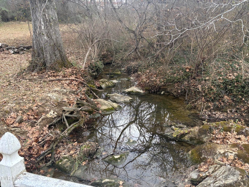 Photo #19: 902 Tusculum Boulevard