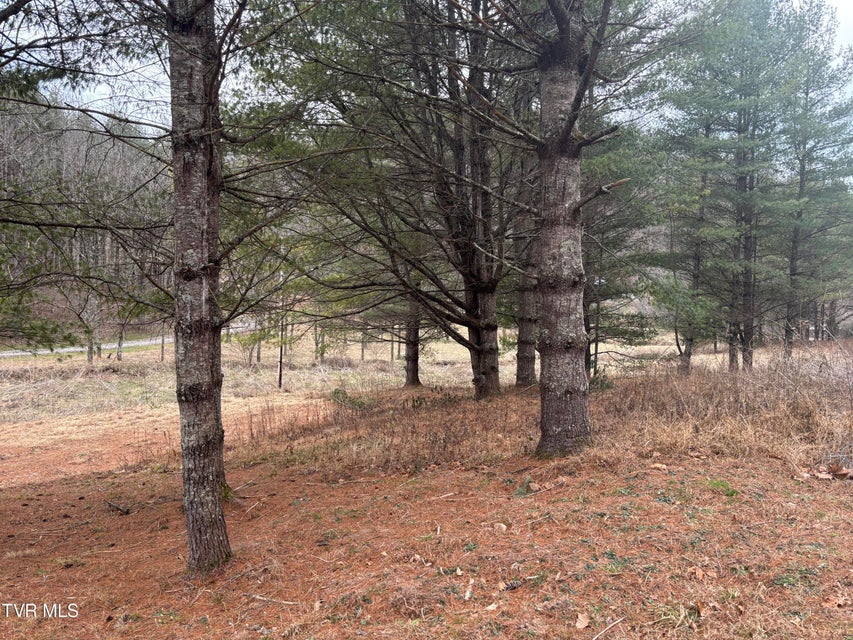 Photo #3: 00 Greer Branch Road