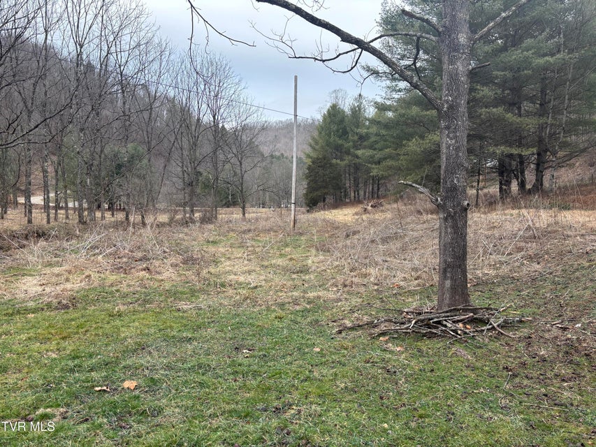 Photo #4: 00 Greer Branch Road