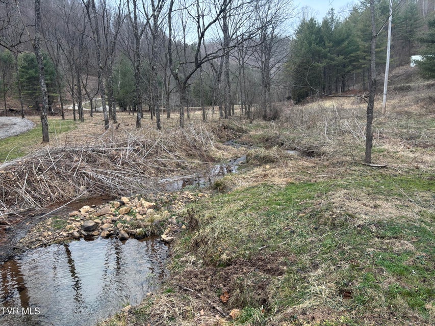 Photo #5: 00 Greer Branch Road