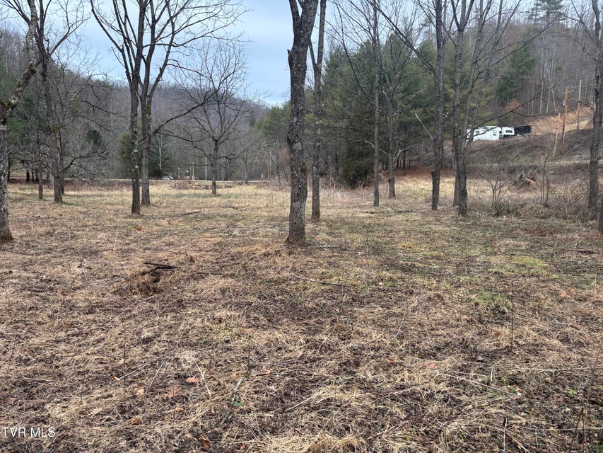 Photo #6: 00 Greer Branch Road