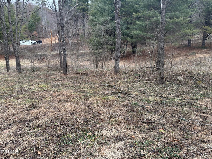 Photo #7: 00 Greer Branch Road