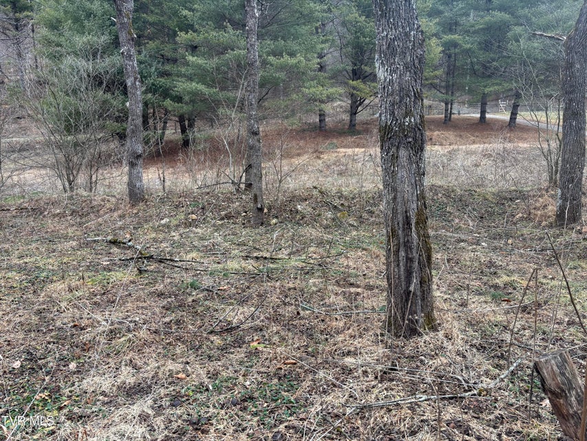 Photo #8: 00 Greer Branch Road