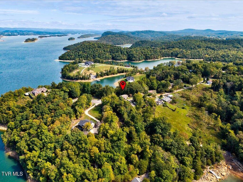 Photo #48: 7474 Evolene Circle