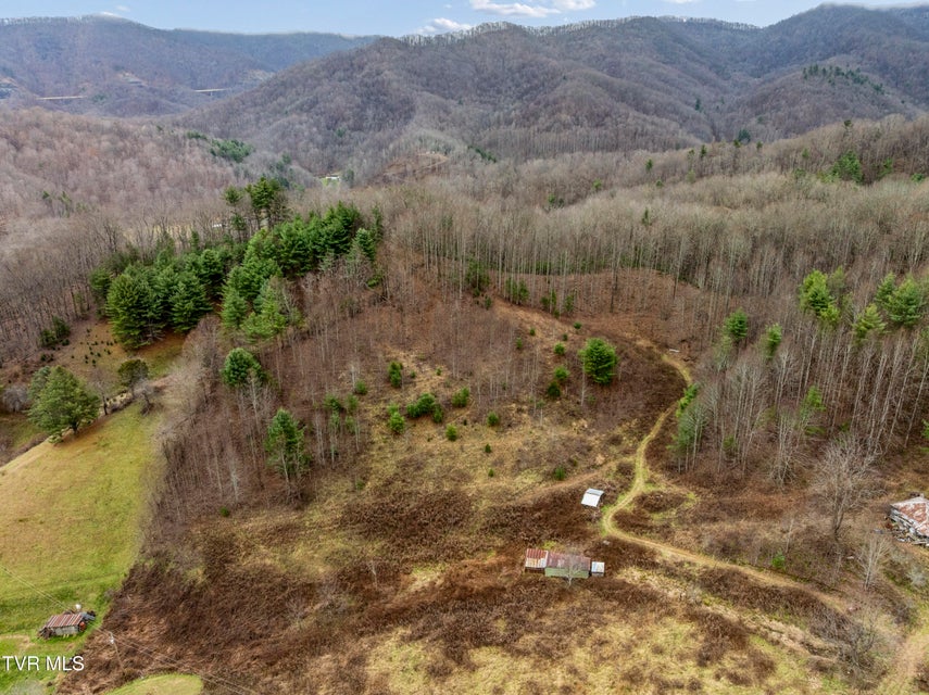 Photo #9: Tbd Tipton Branch 