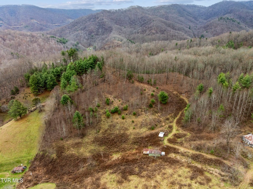 Photo #10: Tbd Tipton Branch 