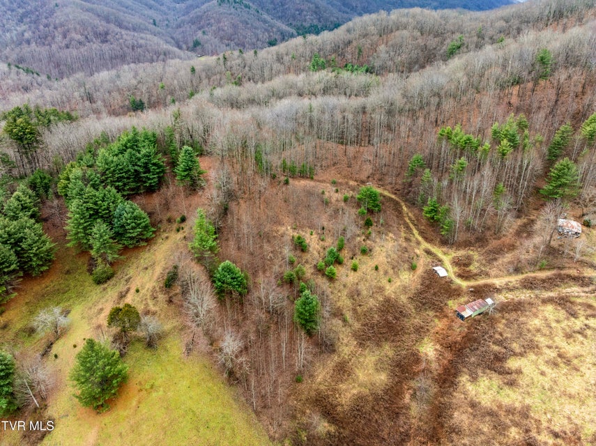 Photo #12: Tbd Tipton Branch 