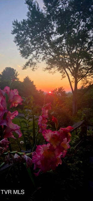 Photo #40: 289 Brookside Lane