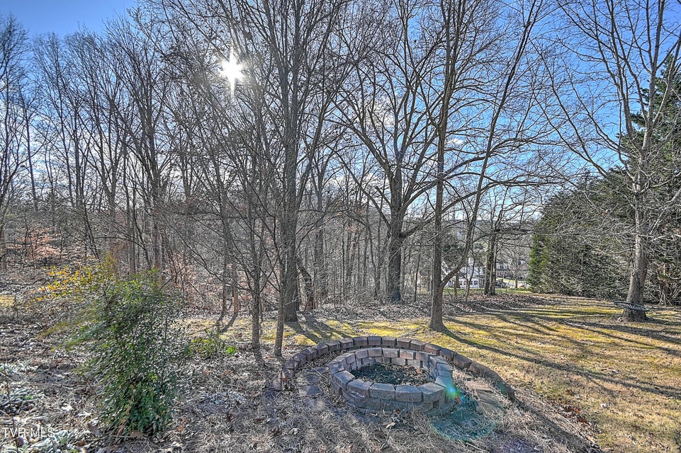 Photo #65: 616 Kings Ridge Drive