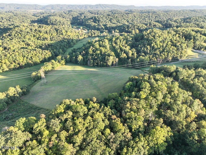 Photo #3: 0 Longtown Road