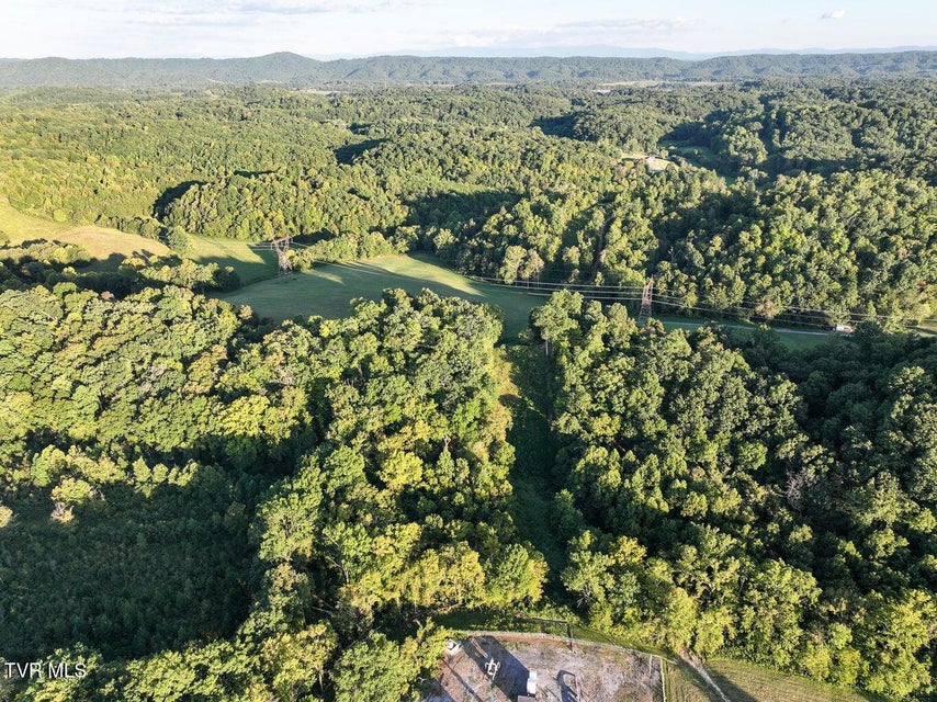 Photo #4: 0 Longtown Road