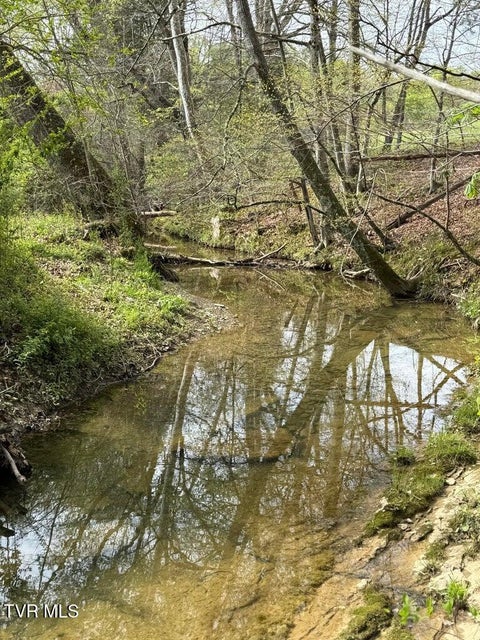 Photo #7: 0 Longtown Road