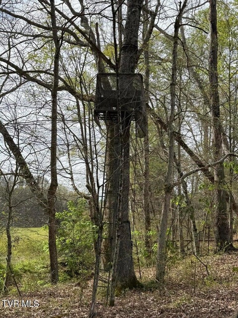 Photo #8: 0 Longtown Road