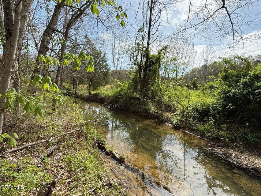 Photo #9: 0 Longtown Road