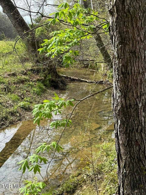 Photo #10: 0 Longtown Road