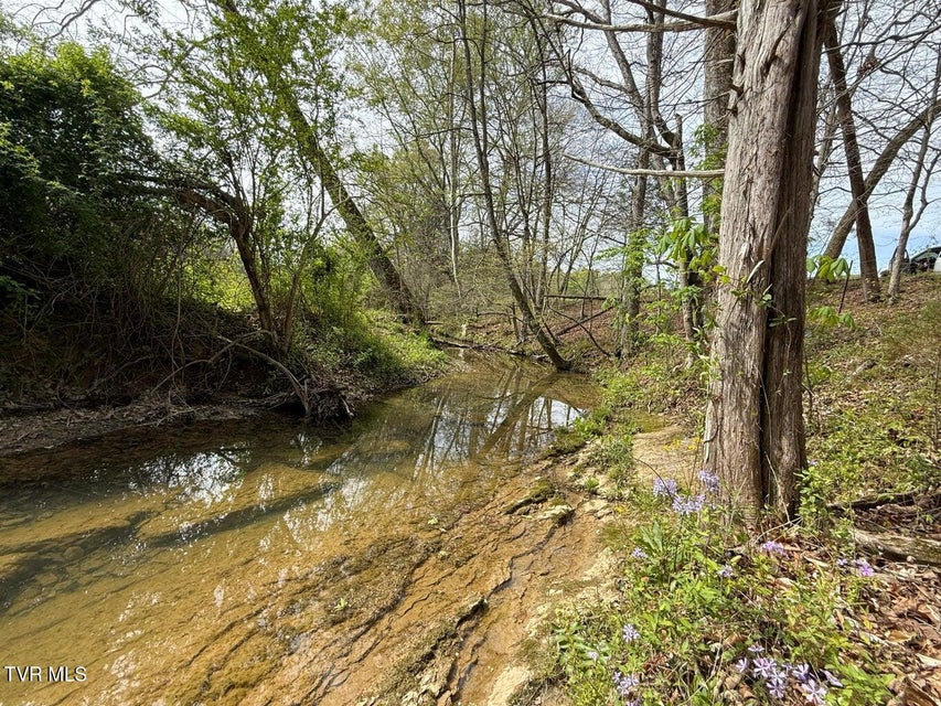 Photo #11: 0 Longtown Road