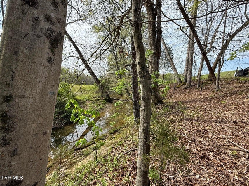 Photo #12: 0 Longtown Road